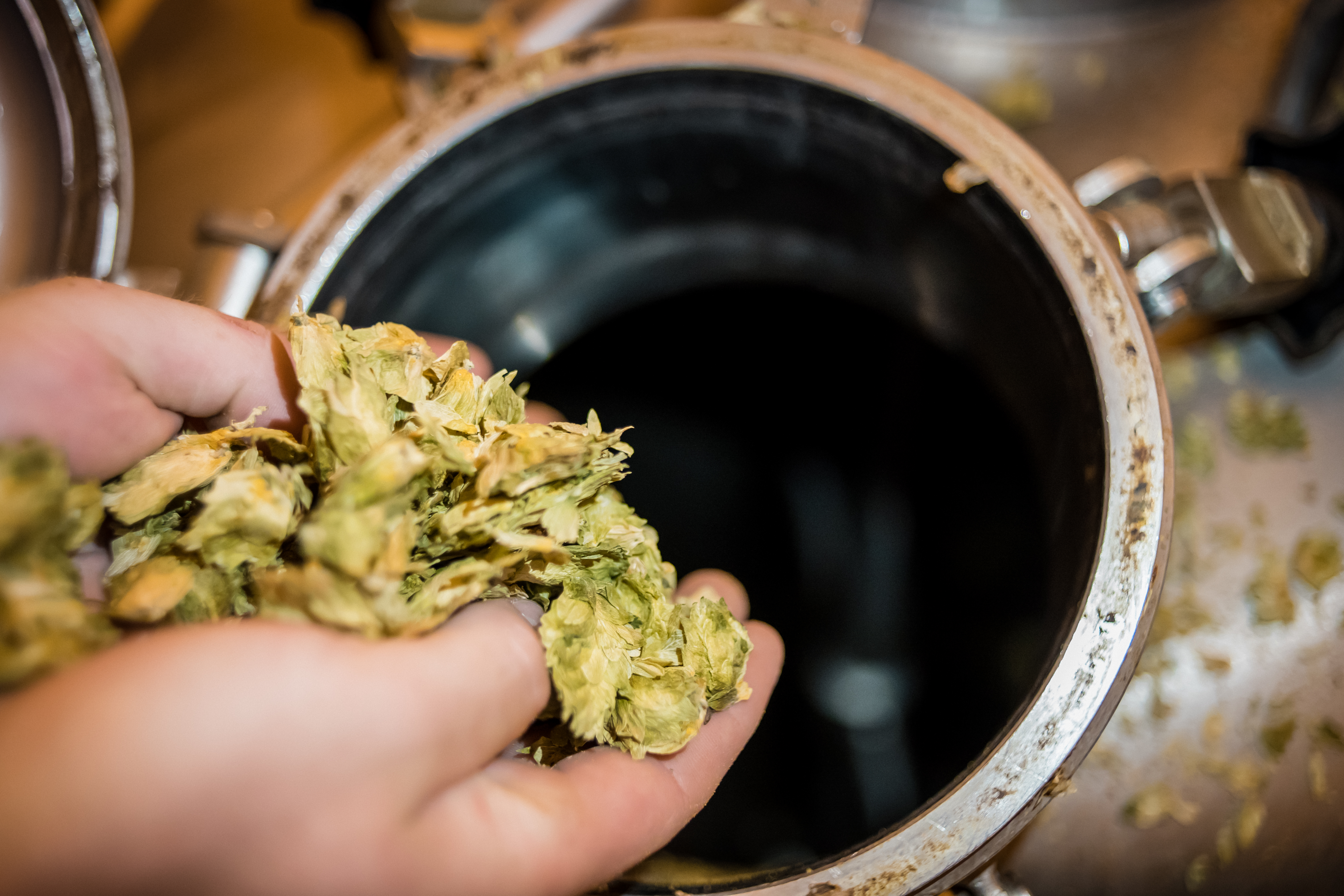 Hideenseer Hopfen