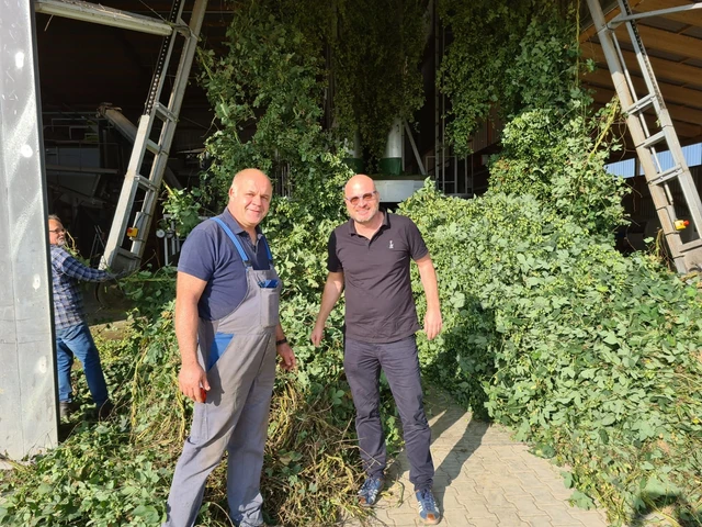 Hideenseer Hopfentrocknung