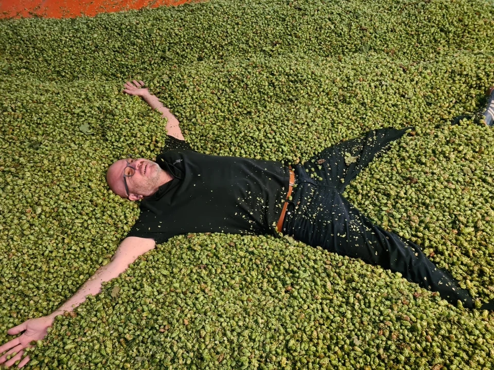 Hiddenseer-Hopfen